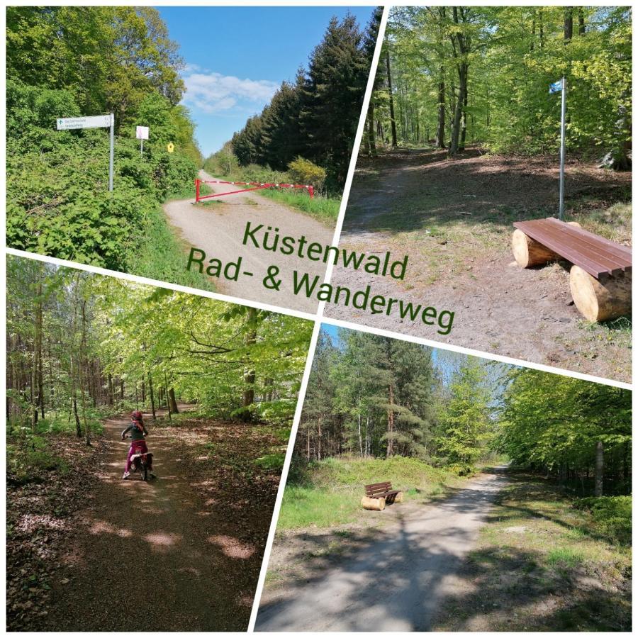 Ostsee-Wiesenpieper Graal-Mueritz Zewnętrze zdjęcie